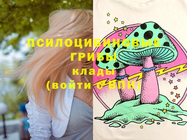 твердый Алзамай