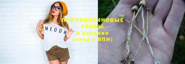 винт Алексеевка