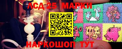 индика Шебекино
