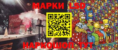 индика Шебекино