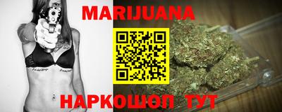 прущие крисы Шелехов