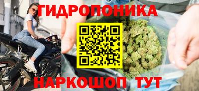 прущие крисы Шелехов