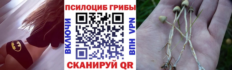 Галлюциногенные грибы MAGIC MUSHROOMS  Аргун 