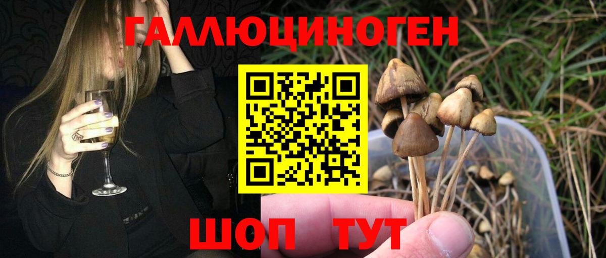 Аргун  Галлюциногенные грибы MAGIC MUSHROOMS  Вход с VPN 