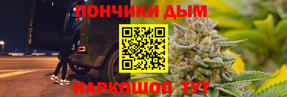 Бошки Шишки сатива Аргун